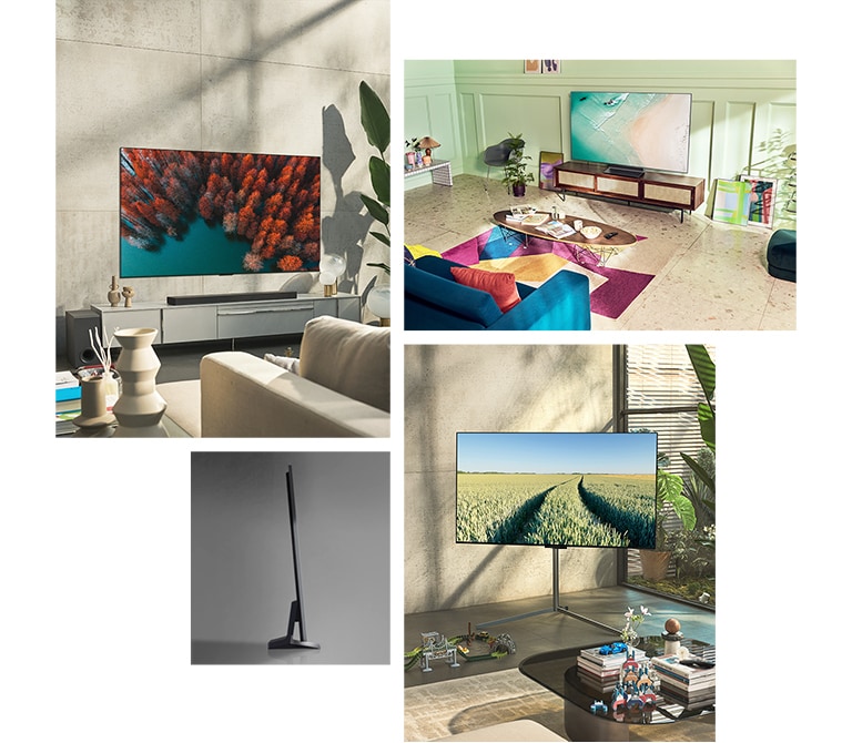 An LG OLED G2 is hung on the wall in a living room with plants, a pile of books, and a vintage-style cabinet. An LG OLED G2 is hung on the wall in a minimalist-looking room beside a shelf with monochrome ornaments. A side view of the ultra-slim edge of LG OLED G2. An LG OLED G2 is hung on a colorful living room wall with a dried planet, diffuser, and vases. A close-up of an edge on the ultra-slim LG OLED G2.