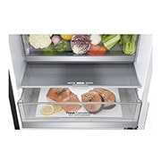 LG Total No Frost (Frost Free) | Tall Fridge Freezer | 384L | GBB92MCBAP | Matte Black, GBB92MCBAP